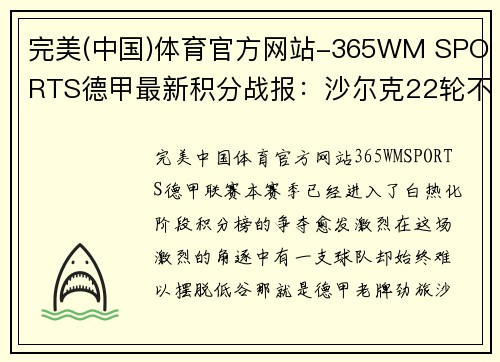 完美(中国)体育官方网站-365WM SPORTS德甲最新积分战报：沙尔克22轮不胜难出降级区，升班马5轮不败势不可挡 - 副本